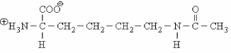 A HATS enzymes reacts with the side-chain of lysine to form the following structure: What effect will the HATS enzymes have on histones?   A)  No effect, since histones contain few lysine residues. B)  HATS will increase the affinity of histones for DNA. C)  HATS will allow for easier unravelling of histone-DNA structures. D)  HATS activate histones for interaction with mRNA.
