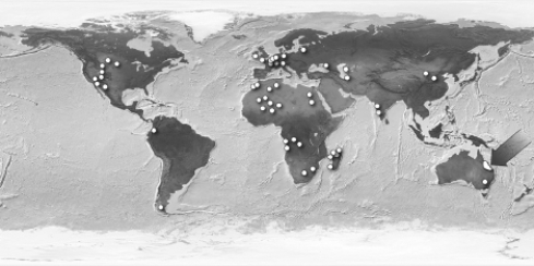 In the following figure,the region indicated by the arrow is the only modern-day location of the freshwater lungfish.Fossils of the ancestors of the lungfish,however,have been found all over the world (dots throughout the map) .What does the distribution of these fossils indicate?   A) When Pangaea separated to form smaller continents,the living ancestors of the lungfish were separated.When they died,some of them formed fossils in their new lands. B) The same species of lungfish evolved on all of Earth's major landmasses after continental drift had stopped. C) The ancestors of the lungfish existed on Pangaea.After they died,some were fossilized.Their fossils were separated by continental drift. D) Lungfish were much more successful in the climates of North America than they were in the climates of South America.