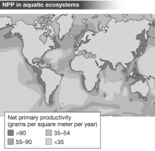The figure below shows the net primary productivity (NPP) in marine biomes around the world.The pattern of NPP in marine ecosystems as shown suggests that   A) marine productivity is as sensitive to temperature as terrestrial productivity. B) without shade from overhead vegetation,marine productivity typically exceeds that found in terrestrial ecosystems. C) marine ecosystems are also limited by sunlight,with the highest productivity at the equator. D) most marine productivity results from the input of terrestrially derived nutrients.