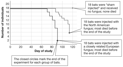 A group of researchers conducted an experiment and collected the data presented in this graph. Which of the following statements are supported by the information in this graph?   A) The hypothesis was proven beyond a doubt because all members of the control group survived while most of the members of both treatment groups died by the end of the study. B) The hypothesis was proven because all members of the control group survived while most of the members of both treatment groups died by the end of the study. C) The hypothesis was not supported because all members of the control group died while most of the members of both treatment groups survived through the end of the study. D) The hypothesis was supported because all members of the control group survived while most of the members of both treatment groups died by the end of the study.