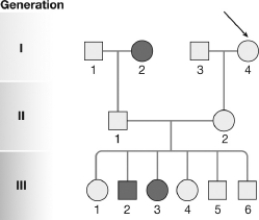 <strong>In the pedigree shown, the individual indicated represents a(n) </strong> A)healthy male. B)healthy female. C)affected male. D)affected female.