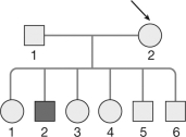 <strong>The pedigree shown diagrams an X-linked gene. The individual indicated is ________ for the gene. </strong> A)heterozygous B)homozygous C)autosomal D)There is not enough information to determine the answer.