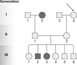 If the male in generation II was affected, what would the pattern of inheritance most likely be?   A) X-linked recessive B) X-linked dominant C) autosomal recessive D) autosomal dominant