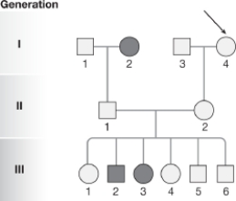 Does the pedigree shown most likely represent a condition that is autosomal recessive, dominant, or sex-linked? Explain your reasoning.   