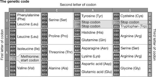 A tRNA with the anticodon GGG would have the amino acid ________ bound to it.   