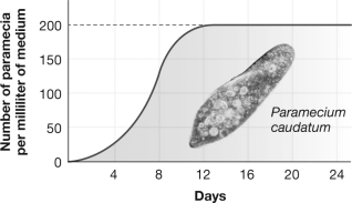 This graph shows the growth of a population of Paramecium caudatum. The greatest amount of daily growth occurred when the population was at approximately ________ percent of its carrying capacity.   A) 10 B) 25 C) 50 D) 100