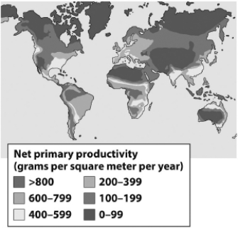 The figure below shows the net primary productivity (NPP)  in terrestrial biomes around the world. The pattern of NPP in terrestrial ecosystems as shown suggest that   A) terrestrial productivity is highly sensitive to temperature and available sunlight with the highest productivity at the equator. B) without shade from overhead vegetation, marine productivity typically exceeds that found in terrestrial ecosystems. C) terrestrial ecosystems are not limited by sunlight or temperature. D) most terrestrial productivity results from the input of marine-derived nutrients.