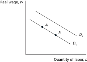 Figure 6.1    -Refer to Figure 6.1.Holding other variables constant,a decrease in the capital stock will result in a A)  shift from curve D₁ to curve D₂. B)  shift from curve D₂ to curve D₁. C)  movement from point A to point B. D)  movement from point B to point A.