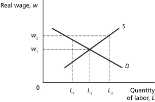 Figure 6.4    -Refer to Figure 6.4.An efficiency wage in this economy would be represented by a real wage of ________ and an employment level of ________. A)  w₁; L₁ B)  w₁; L₂ C)  w₂; L₁ D)  w₂; L₃