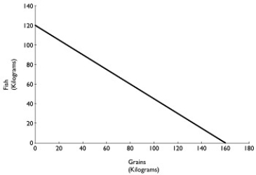 Figure 2.2     Figure 2.2 above shows the production possibilities frontier for Atikamekw Cree (ca. 1600) with a historical tradition of fishing and farming. Assume they produce two goods: fish and grains -Refer to Figure 2.2.Suppose Atikamekw Cree are currently producing 60 kilograms of grain per period.How much fish is it also producing, assuming that resources are fully utilized? A) 45 kilograms of fish B) 75 kilograms of fish C) 80 kilograms of fish D) 100 kilograms of fish