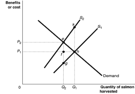 Figure 5.7     Figure 5.7 shows the market for Atlantic salmon, a common resource. The current market equilibrium output of Q₁ is not the economically efficient output. The economically efficient output is Q₂. -Refer to Figure 5.7.The current market equilibrium output is partly the result of overfishing.In that case, what does S₁ represent? A) the private marginal benefit of harvesting salmon B) the social marginal benefit of harvesting salmon C) the private marginal cost of harvesting salmon D) the social marginal cost of harvesting salmon
