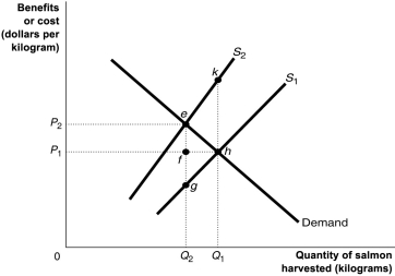 Figure 11-16   Figure 11-16 shows the market for Atlantic salmon, a common resource. The current market equilibrium output of Q<sub>1</sub> is not the economically efficient output. The economically efficient output is Q<sub>2</sub>. -Refer to Figure 11-16.The current market equilibrium output is partly the result of overfishing.In that case,what does S<sub>2</sub> represent? A)  The private marginal benefit of harvesting salmon. B)  The social marginal benefit of harvesting salmon. C)  The private marginal cost of harvesting salmon. D)  The social marginal cost of harvesting salmon.