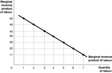<strong>Figure 10-2 Figure 10-2 shows the marginal revenue product for Becca's Baubles, a producer of hand-beaded bracelets. Refer to Figure 10-2.If Becca can sell her bracelets at $3 each,what is the marginal product of the 4th worker?</strong> A) $36 B) 12 bracelets C) 36 bracelets D) $144