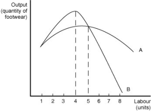 Figure 6-3   Fancy Footwear manufactures shoes. Figure 6-3 shows Fancy Footwear's marginal product of labour and average product of labour curves in the short run. -Refer to Figure 6-3.For what quantity of labour does production display diminishing returns? A)  For more than 1 unit of labour B)  For more than 4 units of labour C)  For more than 5 units of labour D)  For more than 8 units of labour