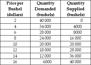 Table 5-5    Table 5-5 above contains information about the corn market. Answer the following questions based on this table. -Refer to Table 5-5.An agricultural price floor is a price that the government guarantees farmers will receive for a particular crop.Suppose the federal government sets a price floor for corn at $12 per bushel. a.What is the amount of shortage or surplus in the corn market as result of the price floor? b.If the government agrees to purchase any surplus output at $12,how much will it cost the government? c.If the government buys all of the farmers' output at the floor price,how many bushels of corn will it have to purchase and how much will it cost the government? d.Suppose the government buys up all of the farmers' output at the floor price and then sells the output to consumers at whatever price it can get.Under this scheme,what is the price at which the government will be able to sell off all of the output it had purchased from farmers? What is the revenue received from the government's sale? e.In this problem we have considered two government schemes: (1)a price floor is established and the government purchases any excess output and (2)the government buys all the farmers' output at the floor price and resells at whatever price it can get.Which scheme will taxpayers prefer? f.Consider again the two schemes.Which scheme will the farmers prefer? g.Consider again the two schemes.Which scheme will corn buyers prefer?