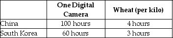 Table 2-6    Table 2-6 shows the number of labour hours required to produce a digital camera and a kilogram of wheat in China and South Korea. -Refer to Table 2-6.What is South Korea's opportunity cost of producing one kilo of wheat? A)  60 digital cameras B)  20 digital cameras C)  5 digital cameras D)  0.05 units of a digital camera