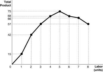 Figure 7-1   -Refer to Figure 7-1.Diminishing marginal productivity sets in after A) the 2nd worker is hired. B) the 3rd worker is hired. C) the 4th worker is hired. D) the 5th worker is hired.