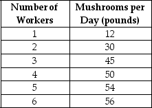 Table 7-1    Table 7-1 shows the technology of production at the Matsuko's Mushroom Farm for the month of May. -Refer to Table 7-1.What is the marginal product of the 4th worker? A) 137 pounds B) 50 pounds C) 12.5 pounds D) 5 pounds