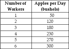 Table 7-2    Table 7-2 summarises production at the Crunchy Apple Orchard for the month of April 2005. -Refer to Table 7-2.What is the average product of labour when the orchard employs 5 workers? A) 270 bushels B) 54 bushels C) 40 bushels D) 8 bushels
