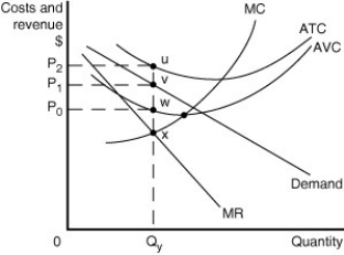 Figure 10-7   Figure 10-7 shows short-run cost and demand curves for a monopolistically competitive firm in the footwear market. -Refer to Figure 10-7.Which of the following statements describes the best course of action for the firm depicted in the diagram? A) The firm should exit the industry because its price is less than its average total cost. B) The firm should minimise its losses by producing Q<sub>y </sub>units and charging a price of P<sub>0</sub>. C) The firm should minimise its losses by producing Q<sub>y </sub>units and charging a price of P<sub>2</sub>. D) The firm should minimise its losses by producing Q<sub>y</sub> units and charging a price of P<sub>1</sub>.