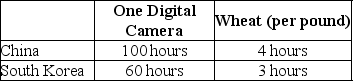 Table 2-4    Table 2-4 shows the number of labor hours required to produce a digital camera and a pound of wheat in China and South Korea. -Refer to Table 2-4.China has a comparative advantage in the production of A) wheat. B) digital cameras. C) both products. D) neither product.