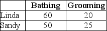 Table 19-1    Linda and Sandy own The Preppy Puppy,a dog grooming business.Table 19-1 lists the number of dogs Linda and Sandy can each bathe and groom in one week. -Refer to Table 19-1.Select the statement that accurately interprets the data in the table. A) Linda has a comparative advantage in dog bathing. B) Sandy has an absolute advantage in dog bathing. C) Sandy has a comparative advantage in dog bathing. D) Linda has a comparative advantage in dog grooming and dog bathing.