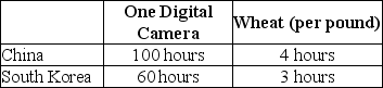 Table 2-4      Table 2-4 shows the number of labor hours required to produce a digital camera and a pound of wheat in China and South Korea. -Refer to Table 2-4.If the two countries specialize and trade,who should export wheat? A)  There is no basis for trade between the two countries. B)  China C)  South Korea D)  They should both be exporting wheat.