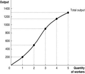 Fill in the missing values in the following table.Draw one graph showing how total output increases with the quantity of workers hired,and another graph showing the marginal product of labor and the average product of labor.         