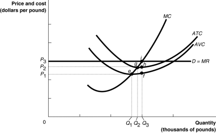 Figure 9-7     Figure 9-7 illustrates the cost curves of a perfectly competitive firm. -Refer to Figure 9-7.If the market price is P₃ the firm A) will break even. B) will make a profit. C) will earn enough revenue to cover its variable costs but not its fixed costs. D) will produce a quantity of Q₁.