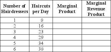Table 17-3 Refer to Table 17-3.The Hair Cuttery,a new hair salon,is ready to start hiring.The table above shows the relationship between the number of hairdressers the firm hires and the quantity of haircuts it produces. a.Suppose the price of haircuts is $8.Complete the table by filling in the values for marginal product and marginal revenue product. b.The Hair Cuttery is an input price-taker.Suppose the wage paid to hairdressers is $40 per day.What is the profit-maximizing number of hairdressers? c.Suppose the wage rate rises to $60 per day. (i)What happens to the firm's demand curve for hairdressers? (ii)What happens to the profit-maximizing quantity of hairdressers? d.Suppose the wage rate is $40 per day and the price of haircuts is now $10. (i)What happens to the firm's demand curve for hairdressers? (ii)What happens to the profit-maximizing quantity of hairdressers?