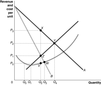 Figure 15-4 Figure 15-4 reflects the cost and revenue structure for a monopoly that has been in business for a very long time. Refer to Figure 15-4.Use the figure above to answer the following questions. a.Identify the curves labeled A and B.Identify the curve which contains both point Y and point Z.Identify the curve which contains both point V and point W. b.What is the profit-maximizing quantity and what price will the monopolist charge? c.What area represents total revenue at the profit-maximizing output level? d.What area represents total cost at the profit-maximizing output level? e.What area represents profit? f.What is the profit per unit (average profit)at the profit-maximizing output level? g.If this industry was organized as a perfectly competitive industry,what would be the profit-maximizing price and quantity? h.What area represents the deadweight loss as a result of a monopoly?