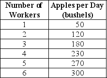 Table 11-1    Table 11-1 summarizes production at the Crunchy Apple Orchard for the month of April 2005. -Refer to Table 11-1.What is the average product of labor when the orchard employs 5 workers? A) 270 bushels B) 54 bushels C) 40 bushels D) 8 bushels
