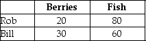Table 9-4    Rob Crusoe and Bill Friday spent their week-long vacation on a desert island where they had to find and make their own food. Rob and Bill spent one day each fishing and picking berries. The table lists the pounds of output Rob and Bill produced. -Refer to Table 9-4. Use the table above to select the statement that accurately interprets the data in the table. A)  Rob has a comparative advantage in catching fish. B)  Bill has an absolute advantage in catching fish. C)  Bill has a comparative advantage in catching fish. D)  Rob has a comparative advantage in picking berries and catching fish.