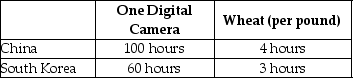 Table 2-11    Table 2-11 shows the number of labor hours required to produce a digital camera and a pound of wheat in China and South Korea. -Refer to Table 2-11. Does either China or South Korea have an absolute advantage and if so, in what product? A)  South Korea has an absolute advantage in wheat. B)  China has an absolute advantage in wheat. C)  South Korea has an absolute advantage in both products. D)  China has an absolute advantage in digital cameras.
