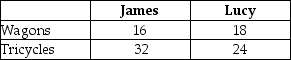 Table 2-17    Table 2-17 shows the output per week of two people, James and Lucy. They can either devote their time to making wagons or making tricycles. -Refer to Table 2-17. Which of the following statements is true? A)  Lucy has an absolute advantage in making both products. B)  James has an absolute advantage in making both products. C)  Lucy has an absolute advantage in making wagons and James in making tricycles. D)  James has an absolute advantage in making tricycles and Lucy in making wagons.
