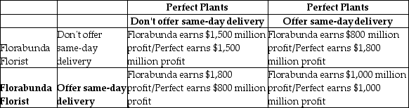 Table 14-7    The payoff matrix shown above assumes that Perfect Plants and Florabunda Florist must decide whether to offer same-day delivery for their products. The matrix shows how much profit each firm will earn if it does or does not offer same-day delivery. The amount of profit for one firm depends on whether the other firm offers same-day delivery. -Refer to Table 14-7. Which of the following statements is true? A)  Neither Perfect nor Florabunda has a dominant strategy. B)  Perfect's dominant strategy is to offer same-day delivery; Florabunda's dominant strategy is to not offer same-day delivery. C)  Florabunda's dominant strategy is to offer same-day delivery; Perfect's dominant strategy is to not offer same-day delivery. D)  The dominant strategy for both firms is to offer same-day delivery.