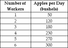 Table 11-2    Table 11-2 summarizes production at the Crunchy Apple Orchard for the month of April 2005. -Refer to Table 11-2. What is the marginal product of the 4th worker? A)  230 bushels B)  57.4 bushels C)  50 bushels D)  12.4 bushels