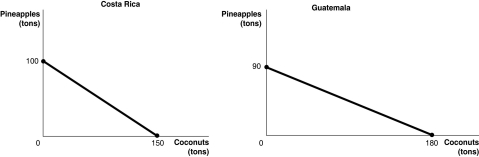 Figure 2-8   Figure 2-8 shows the production possibilities frontiers for Costa Rica and Guatemala.Each country produces two goods,pineapples and coconuts. -Refer to Figure 2-8.Which country has a comparative advantage in the production of pineapples? A) Guatemala B) They have equal productive abilities. C) Costa Rica D) neither country
