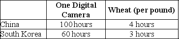 Table 2-8    Table 2-8 shows the number of labor hours required to produce a digital camera and a pound of wheat in China and South Korea. -Refer to Table 2-8.Does either China or South Korea have an absolute advantage and if so,in what product? A)  South Korea has an absolute advantage in wheat. B)  China has an absolute advantage in wheat. C)  South Korea has an absolute advantage in both products. D)  China has an absolute advantage in digital cameras.
