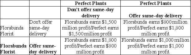 Table 14-7    The payoff matrix shown above assumes that Perfect Plants and Florabunda Florist must decide whether to offer same-day delivery for their products. The matrix shows how much profit each firm will earn if it does or does not offer same-day delivery. The amount of profit for one firm depends on whether the other firm offers same-day delivery. -Refer to Table 14-7.Which of the following statements is true? A)  Neither Perfect nor Florabunda have a dominant strategy. B)  Perfect's dominant strategy is to offer same-day delivery; Florabunda's dominant strategy is to not offer same-day delivery. C)  Florabunda's dominant strategy is to offer same-day delivery; Perfect's dominant strategy is to not offer same-day delivery. D)  The dominant strategy for both firms is to offer same-day delivery.