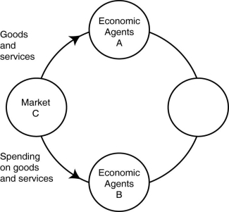 Figure 2-11   -Refer to Figure 2-11.In the circular flow diagram,who are economic agents A and who are economic agents B? A) A = firms;B = households B) A = households;B = firms C) A = households;B = factor markets D) A= firms;B = product markets