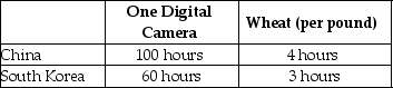 Table 2-8     Table 2-8 shows the number of labor hours required to produce a digital camera and a pound of wheat in China and South Korea. -Refer to Table 2-8.What is South Korea's opportunity cost of producing one digital camera? A) 0.05 pounds of wheat B) 20 pounds of wheat C) 25 pounds of wheat D) 60 pounds of wheat