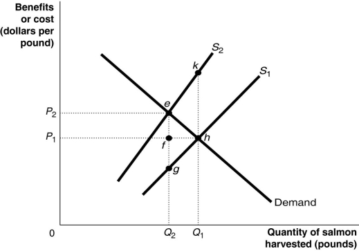Figure 5-15     Figure 5-15 shows the market for Atlantic salmon, a common resource.The current market equilibrium output of Q₁ is not the economically efficient output.The economically efficient output is Q₂. -Refer to Figure 5-15.The current market equilibrium output is partly the result of overfishing.In that case, what does S₂ represent? A) the private marginal benefit of harvesting salmon B) the social marginal benefit of harvesting salmon C) the private marginal cost of harvesting salmon D) the social marginal cost of harvesting salmon