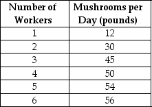 Table 11-1     Table 11-1 shows the technology of production at the Matsuko's Mushroom Farm for the month of May. -Refer to Table 11-1.Diminishing marginal returns sets in when the ________ worker is hired. A) 2nd B) 3rd C) 4th D) None of the above; the production function displays increasing marginal returns.
