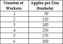 Table 11-2     Table 11-2 summarizes production at the Crunchy Apple Orchard for the month of April. -Refer to Table 11-2.What is the marginal product of the 4th worker? A) 230 bushels B) 57.4 bushels C) 50 bushels D) 12.4 bushels