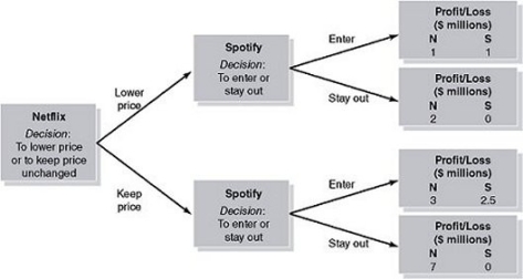 Figure 14-5     Netflix (N) was one of the first companies to offer streaming video services and is still considered a leader in the industry.Spotify (S) offers a music streaming service and is considering entering the video streaming business.At this point, Netflix has to decide whether or not to lower its subscription price in order to deter Spotify's entry into the market.Figure 14-5 shows the decision tree for the Netflix-Spotify entry game. -Refer to Figure 14-5.If Netflix lowers its price, will this deter Spotify from setting up a streaming video service? A) Yes, because Spotify stands to lose $1 million if it competes with Netflix. B) Yes, because Spotify will make a smaller profit than Netflix if it chooses to compete. C) No, because Spotify will make a profit if it competes with Netflix. D) No, because Spotify will make a larger profit than Netflix if it chooses to compete.
