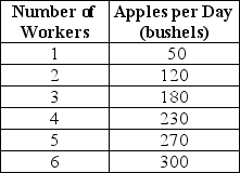 Table 11-2     Table 11-2 summarizes production at the Crunchy Apple Orchard for the month of April. -Refer to Table 11-2.What is the marginal product of the 4th worker? A) 230 bushels B) 57.4 bushels C) 50 bushels D) 12.4 bushels