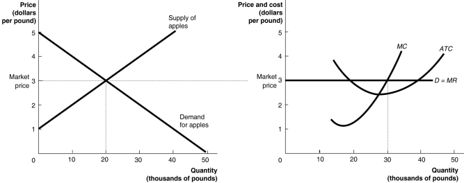 Figure 12-17     The graphs in Figure 12-17 represent the perfectly competitive market demand and supply curves for the apple industry and demand and cost curves for a typical firm in the industry. -Refer to Figure 12-17.Which of the following statements is true? A) The firm will produce 30 thousand pounds of apples in the short run and earn an economic profit. New firms will enter the market and shift the market supply curve to the left. B) The firm will produce 30 thousand pounds of apples in the short run and earn an economic profit, but it would earn a greater profit if it produced at the lowest point on the ATC curve. C) The firm will produce 30 thousand pounds of apples in the short run and earn an economic profit. New firms will enter the industry; as a result, the firm will be forced to exit the industry in the long run. D) The firm will produce 30 thousand pounds of apples in the short run and earn an economic profit. In the long run the firm will break even.
