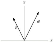  The vectors  \vec { v }  and  \vec { W }  are shown below.Determine if the following statement is true or false.    ( \vec { v } - \vec { w } ) \cdot \vec { j } > 0