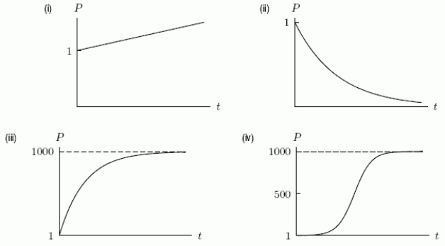  The rate of change of a population for a species is given by  \frac{d P}{d t}=0.05      where P measures the population in thousands at time t months.The species starts with 1000 members (P = 1)at time t = 0.Assume that the differential equation holds indefinitely.Which of the following is a graph of the population as a function of time?   
